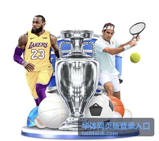 华体网页版登录入口登录前的浏览器与网络检查示意